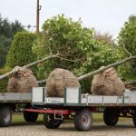 Der Herbstversand beginnt