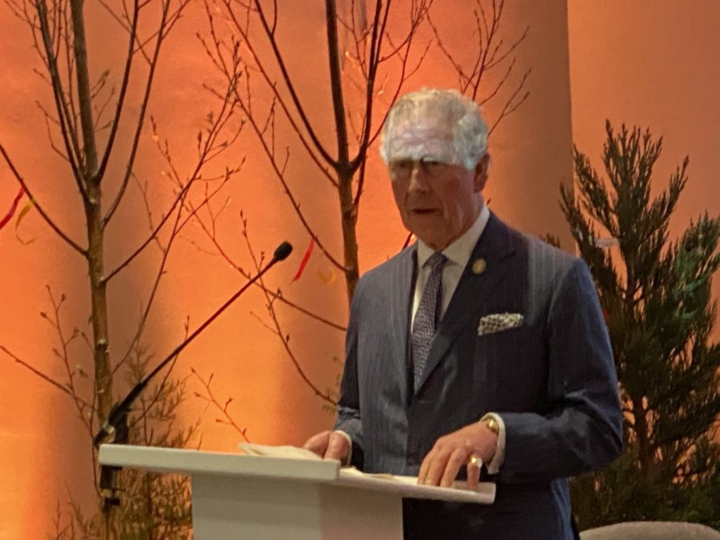 Rede des Prince of Wales