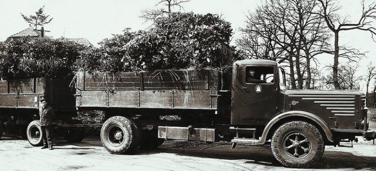 Rhododendron für die Stadt Hamburg in den 1940er Jahren