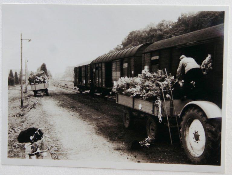 Anschlussgleis Hausbaumschule um 1958