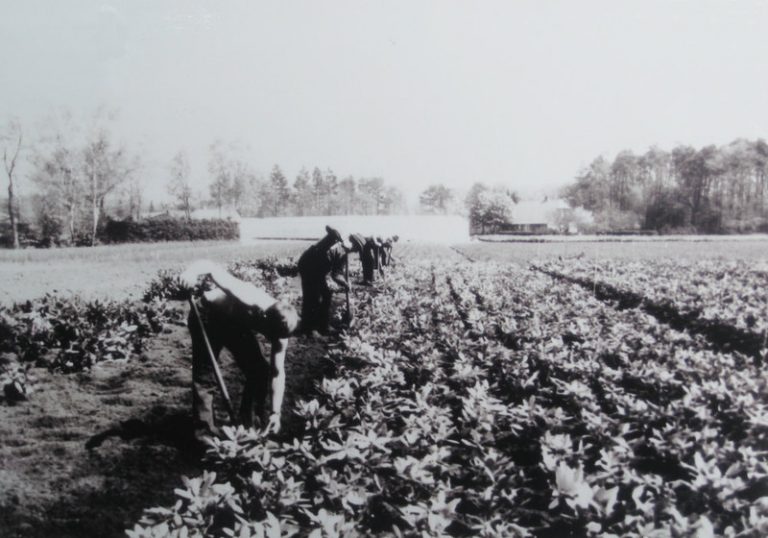 Mitarbeiter bei der Arbeit