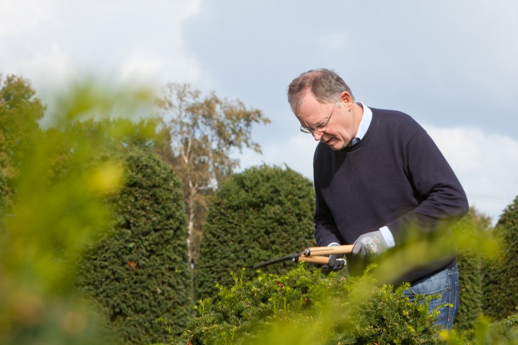 Niedersächsischer Regierungschef als Betriebspraktikant in der Baumschule Bruns