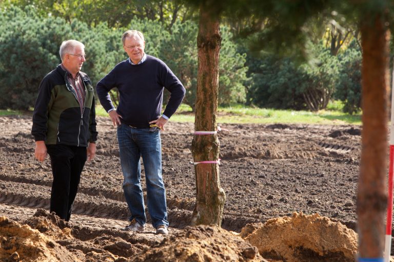 Niedersächsischer Regierungschef als Betriebspraktikant in der Baumschule Bruns
