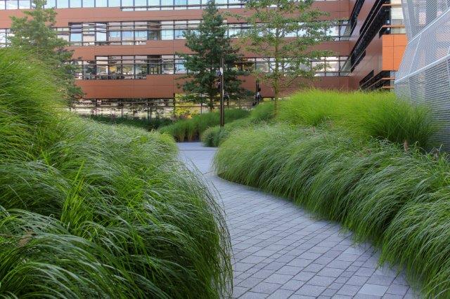 wpd-Windpark Deutschland, Bremen, Deutschland