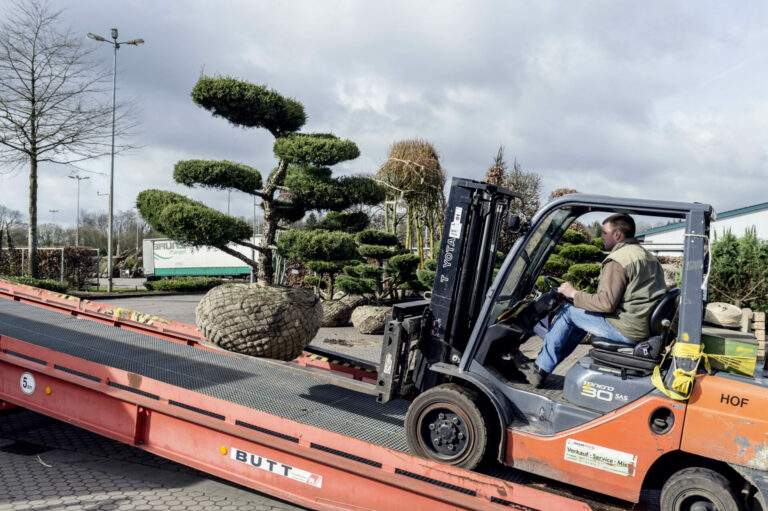 Bruns_04.15_144_5722