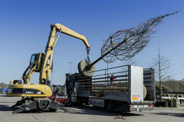 Bruns_04.15_244_5898