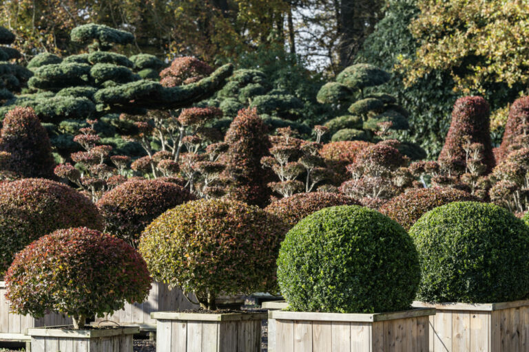 Masterpiece Collection