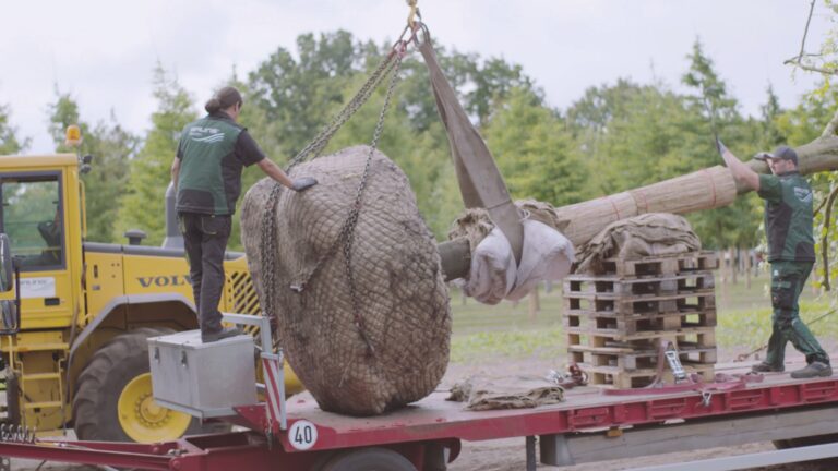 Mitarbeiterbild mit Bruns Logo