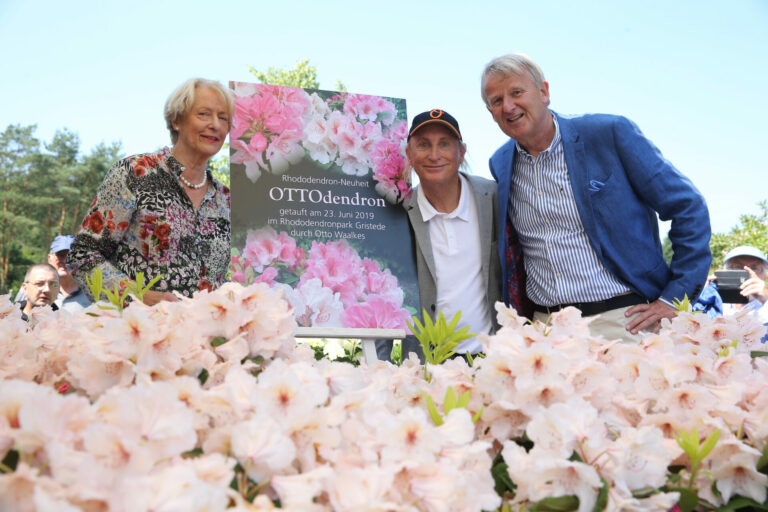 Rhododendrontaufe 'OTTOdendron' am 23.Juni 2019