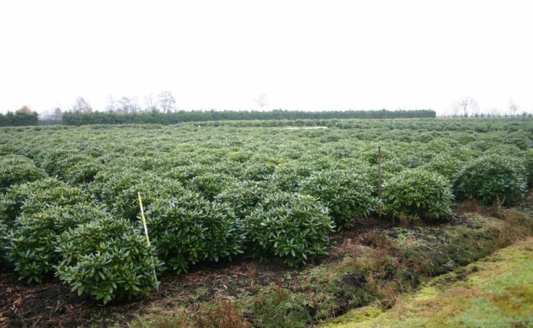 RCWH_Sol_Br60-70-80+_IP_2_22.11.051