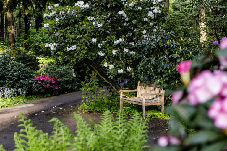 Rhododendronpark Gristede _