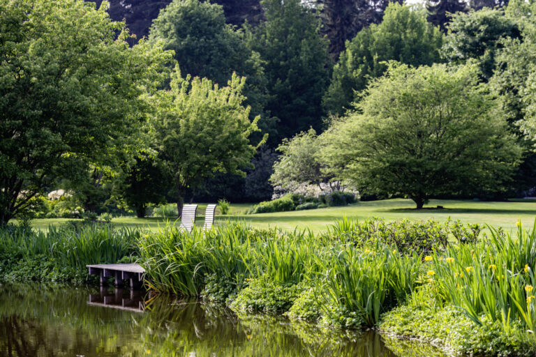 Rhododendronpark Gristede_____