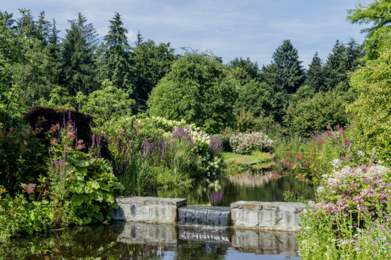 Rhododendronpark Gristede Wasserfall