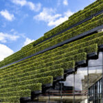 Europas größte Grünfassade