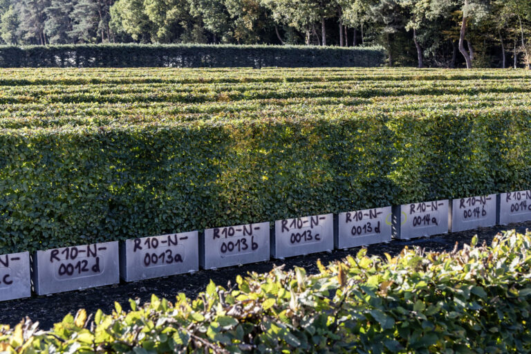 Jedes Heckenelement ist beschriftet für einen bestimmten Platz in der grünen Fassade. Foto: Ferdinand Graf von Luckner